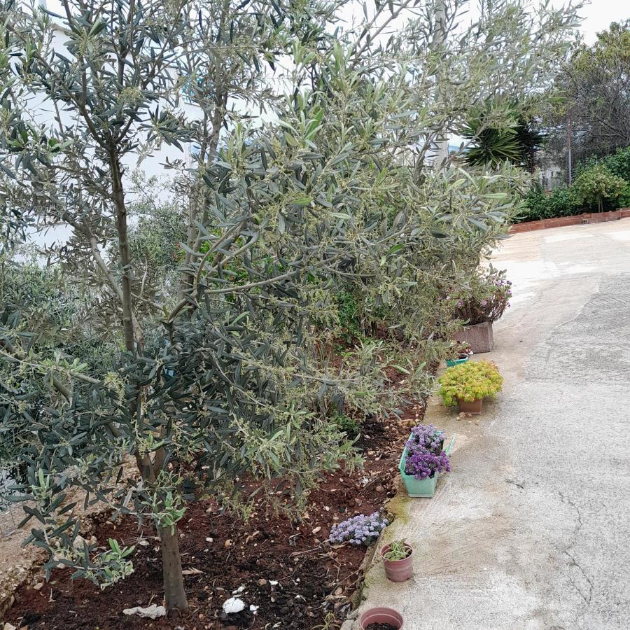 Denni'S Home Saranda Zewnętrze zdjęcie