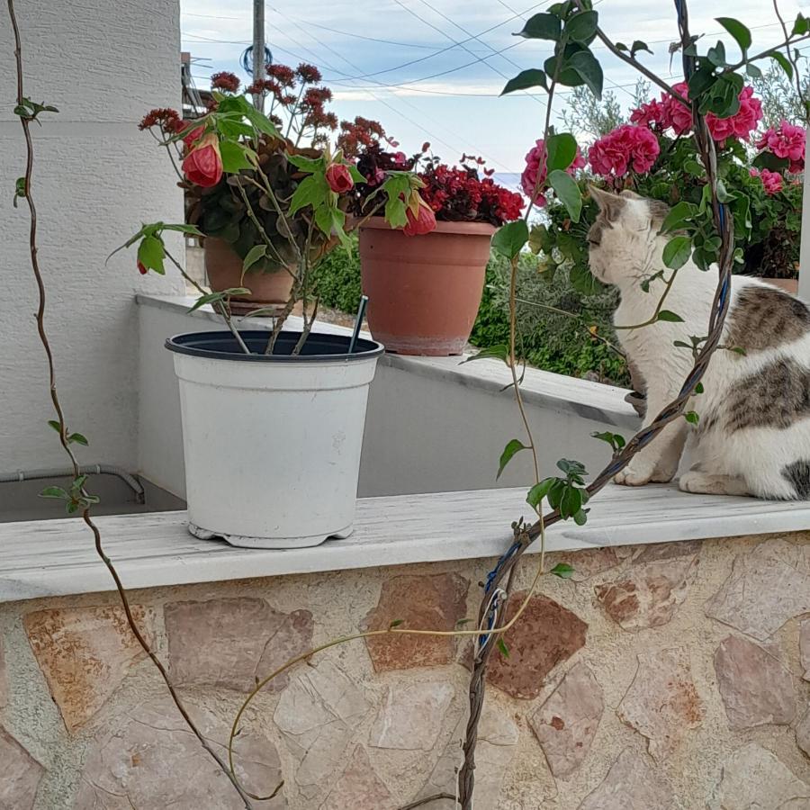 Denni'S Home Saranda Zewnętrze zdjęcie