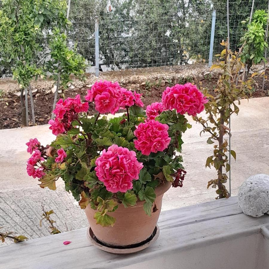 Denni'S Home Saranda Zewnętrze zdjęcie