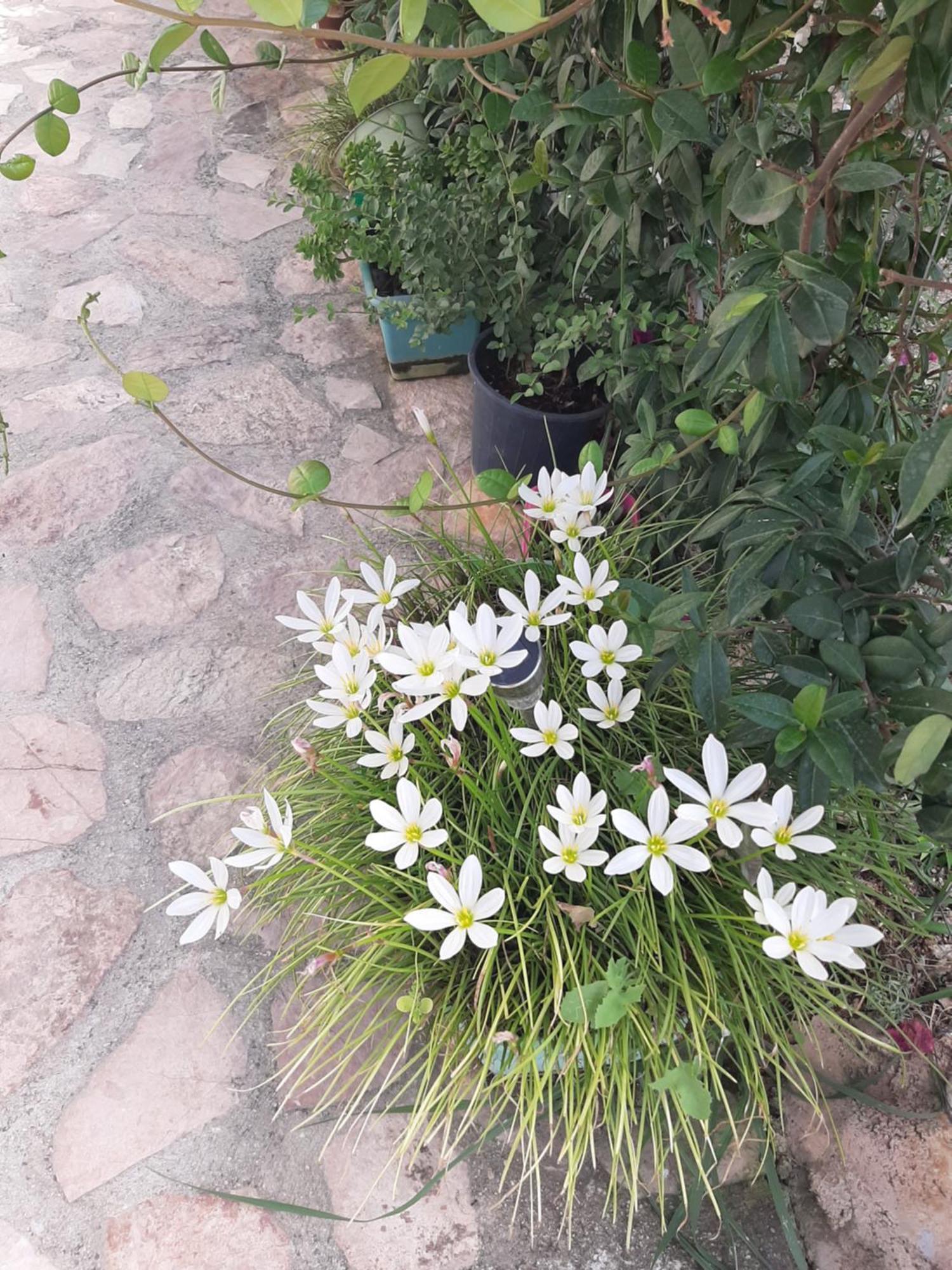 Denni'S Home Saranda Zewnętrze zdjęcie