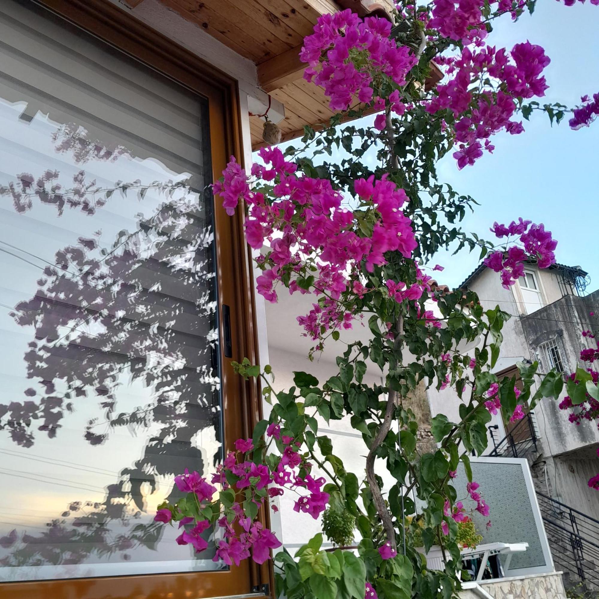 Denni'S Home Saranda Zewnętrze zdjęcie