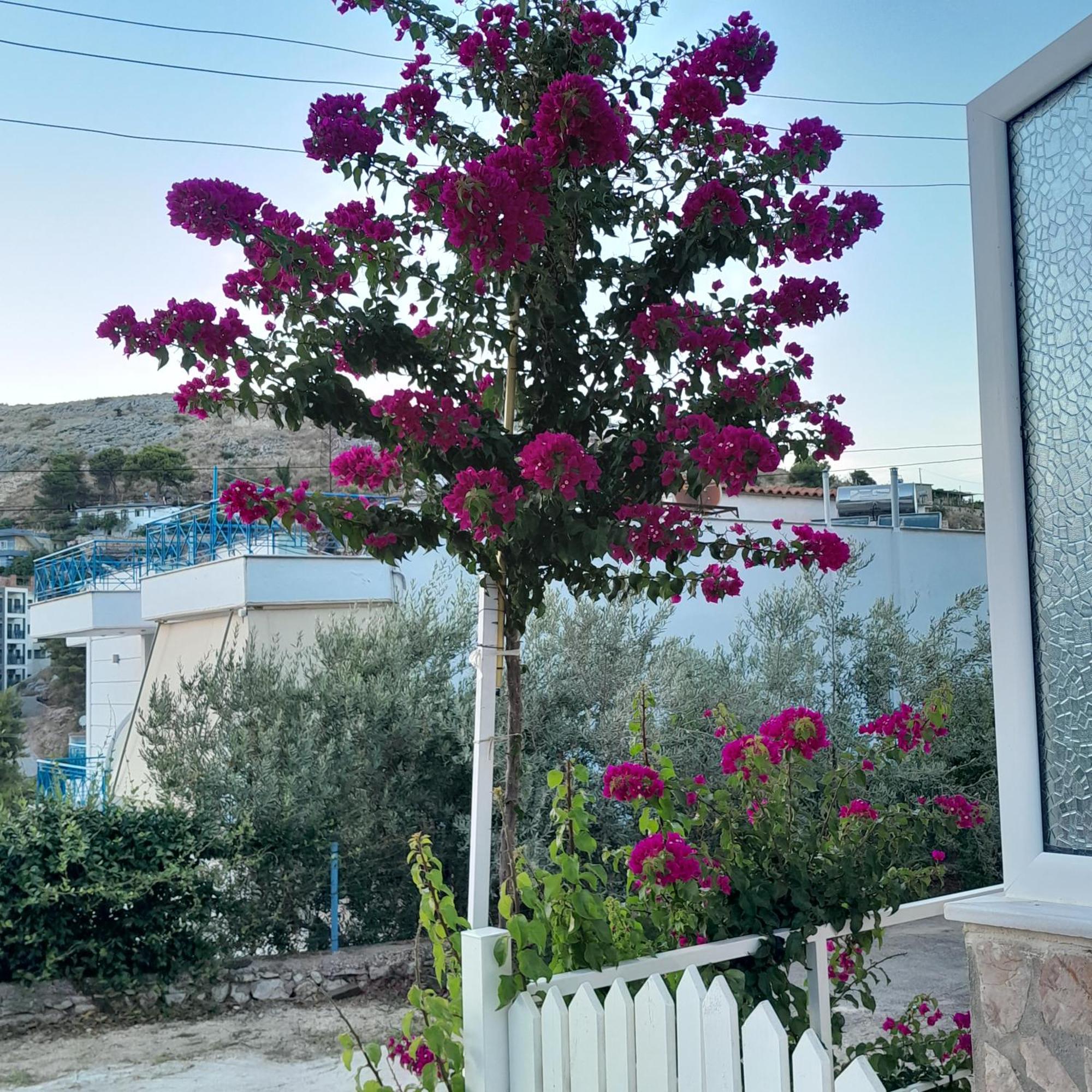 Denni'S Home Saranda Zewnętrze zdjęcie