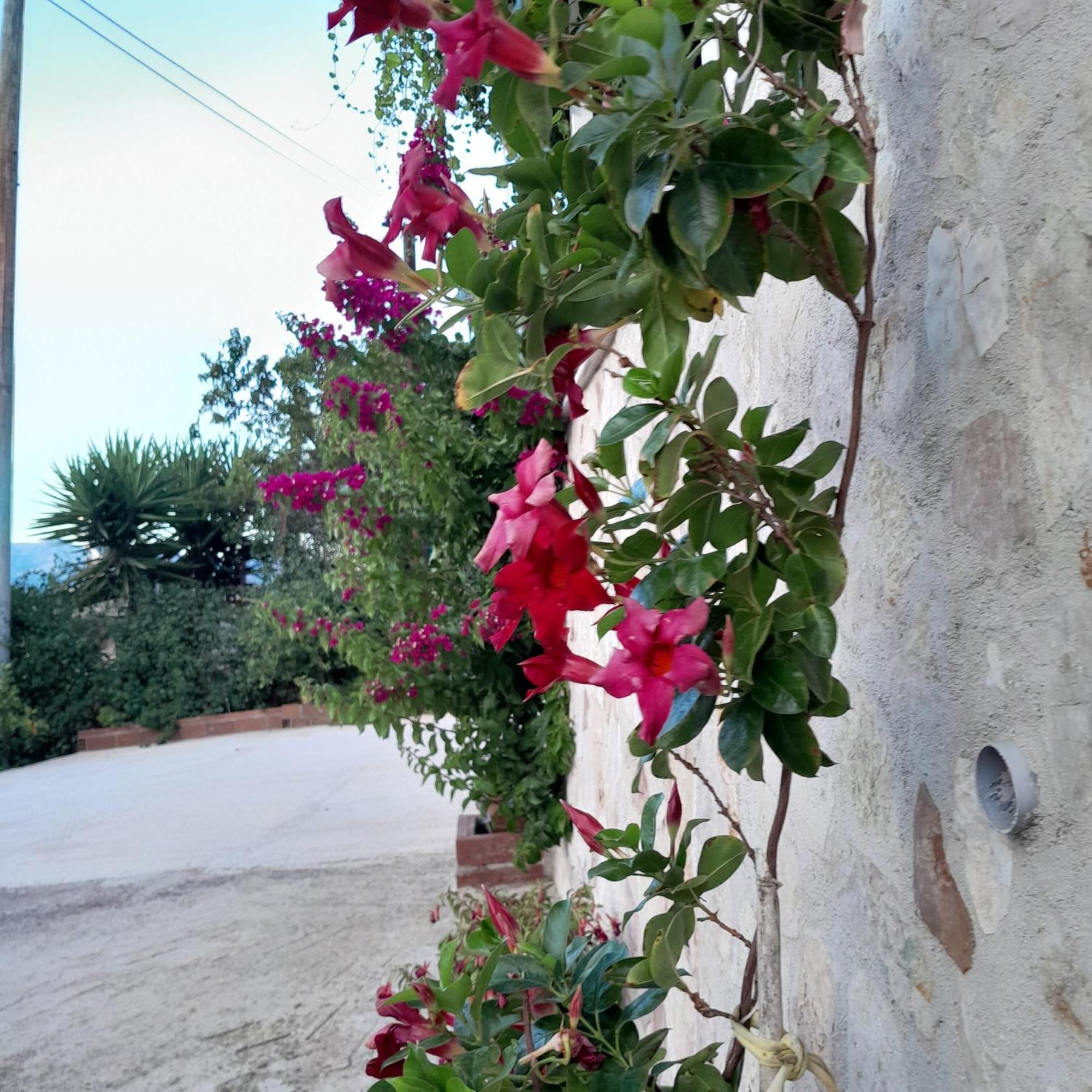 Denni'S Home Saranda Zewnętrze zdjęcie