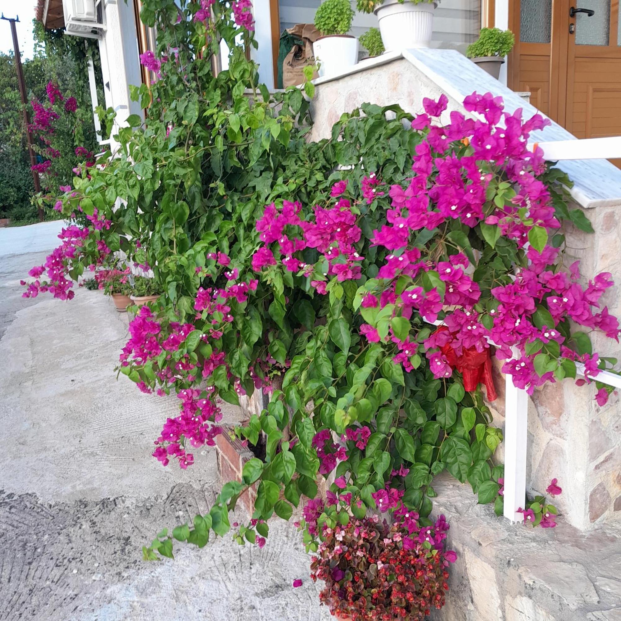 Denni'S Home Saranda Zewnętrze zdjęcie