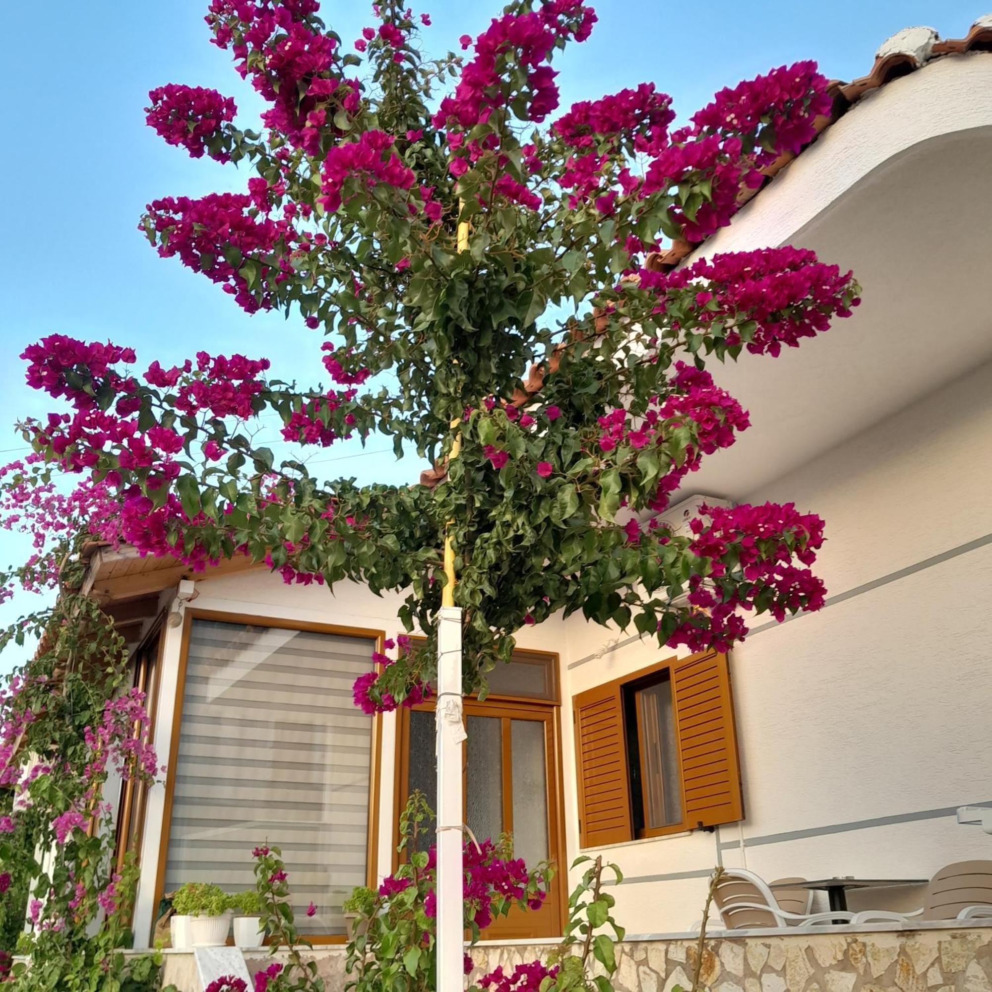 Denni'S Home Saranda Zewnętrze zdjęcie